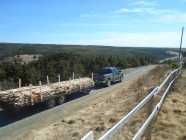 Stakes and Rails/Longers available - Photo 1 of 2