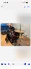 Tama Drum Kit - Photo 4 of 10