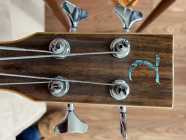 Tanglewood Acoustic Electric Bass - Photo 4 of 7