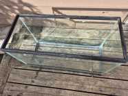 Tank - Photo 1 of 4