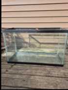 Tank - Photo 2 of 4