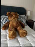 Teddy bear - Photo 1 of 2