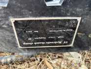 Thumbs  - Photo 3 of 4