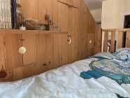 Treehouse Bed - Photo 6 of 8