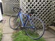 TREK 1000 wsd 50cm road bike