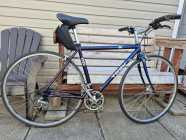 Trek 1220  road bike