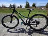 Trek 24" Precaliber Bicycle