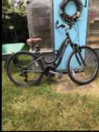Trek Bikes