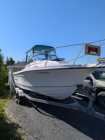 Trophy Pro Boat and trailer