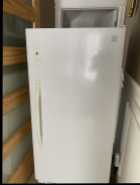 Upright Freezer 