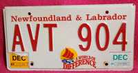 Vintage 1995 Newfoundland License Plate