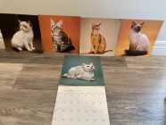 For Sale: Vintage Hallmark New Pussycats Calendar