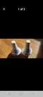Vintage J&G Meakin Blue Nordic Salt& Pepper Shaker