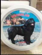 Vintage Newfoundland Dog Souvenir Tray