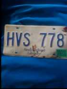 Vintage Newfoundland and Labrador license plate, p