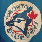 Vintage Toronto Blue Jays Jacket