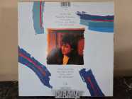 [Vinyl] Robert Plant - Shaken 'N' Stirred - Photo 1 of 7