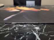[Vinyl] Terence D'Arby - Neither Fish Nor Flesh - Photo 2 of 7