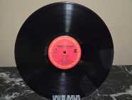 [Vinyl] Terence D'Arby - Neither Fish Nor Flesh - Photo 6 of 7