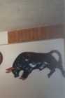 WANTED! CHALKWARE HORSES - Photo 2 of 7