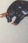 WANTED! CHALKWARE HORSES - Photo 3 of 7