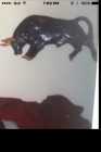 WANTED! Vintage Chalkware Bull