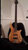 Washburn Bass