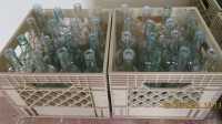 WINE BOTTLES - NO LABELS