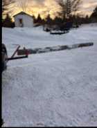 Wood Horse  - Photo 2 of 4