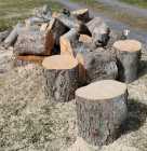 Wood for Sale - Photo 3 of 7