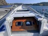 Wooden motor boat