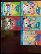 Wrestling DVDs