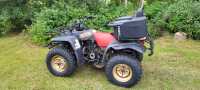 Yamaha Big Bear Special Edition - Photo 3 of 4