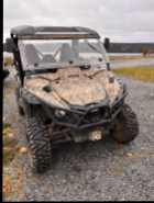 Yamaha Wolverine - Photo 4 of 9